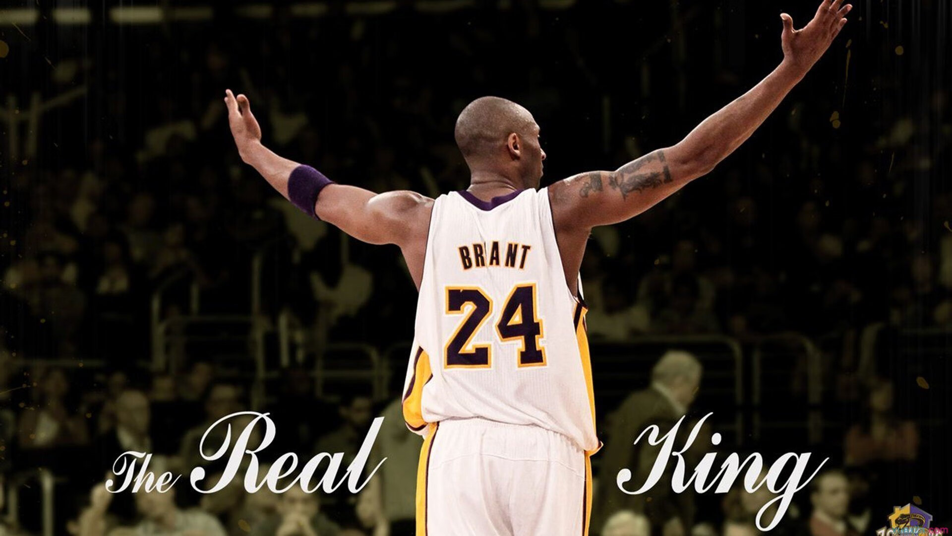 公牛邀请前球员回访训练营分享经验，公牛队官网