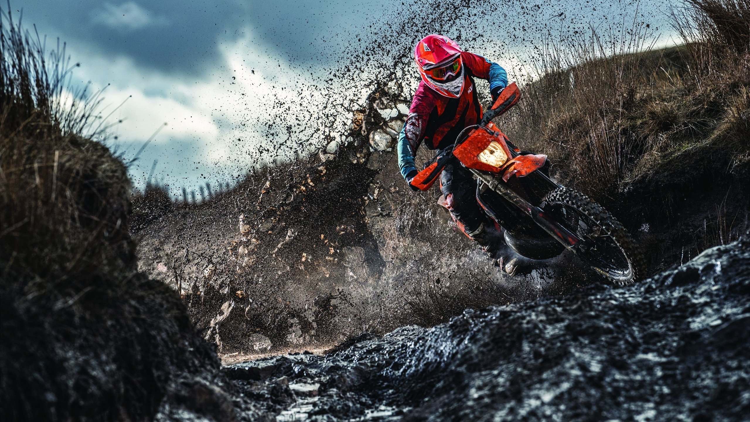 安东·李恩：他的传球精准无误，是全黑队进攻中不可缺少的一环